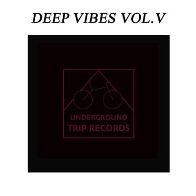 VA - Deep Vibes Vol. V (2021) (MP3)