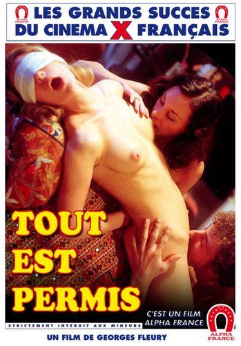 Tout Est Permis (1977) - 480p