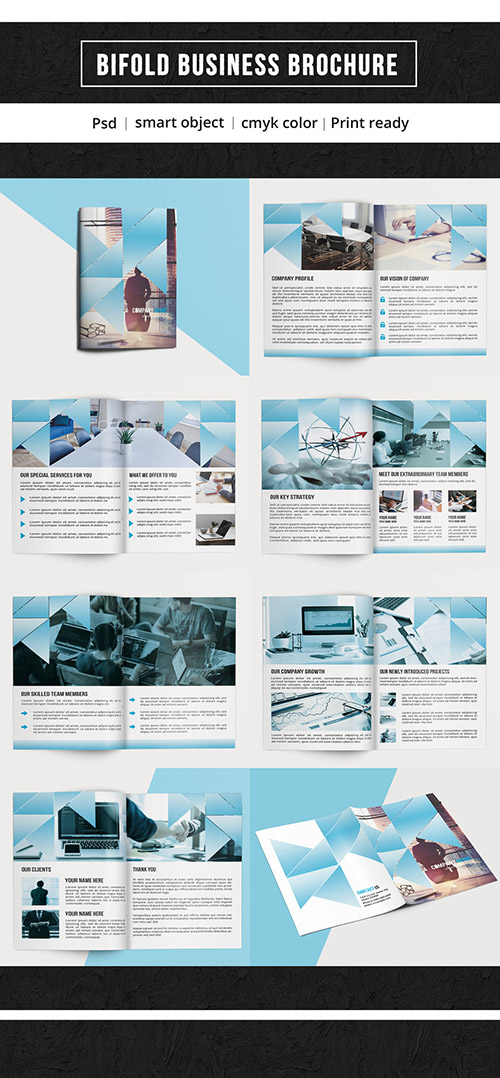 Business Brochure Layout 222341520