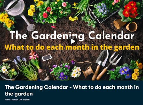 The Gardening Calendar - What To Do Each Month in Your Garden
