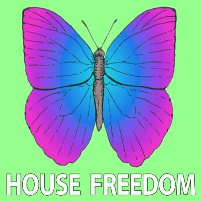 VA - House Freedom - Submission (2021) (MP3)
