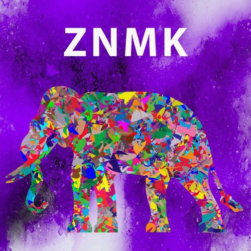 VA - ZNMK - Technologicality (2021) (MP3)