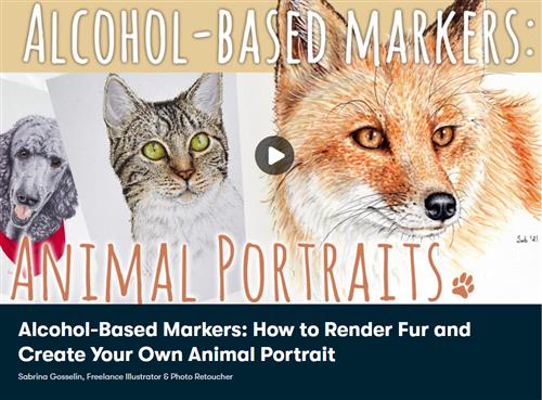Alcohol-Based Markers - How to Render Fur and Create Your Own Animal Portrait