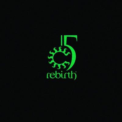 VA - Rebirth 15 (2021) (MP3)