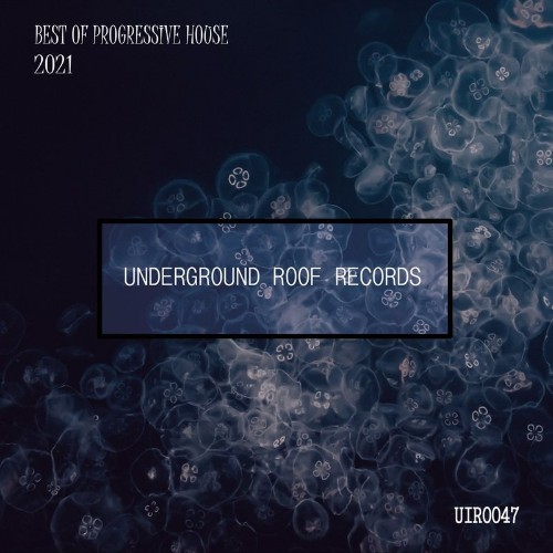 VA - Underground Roof - Best of Progressive House 2021 (2021) (MP3)