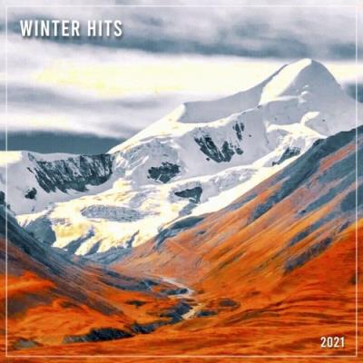 VA - Norvis Music - Winter Hits 2021 (2021) (MP3)
