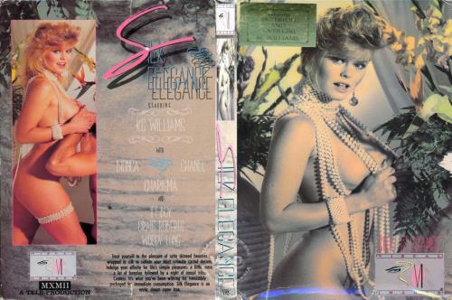 Silk Elegance (1992) - 480p