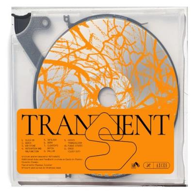 VA - Alfredo92 - Transient (2021) (MP3)