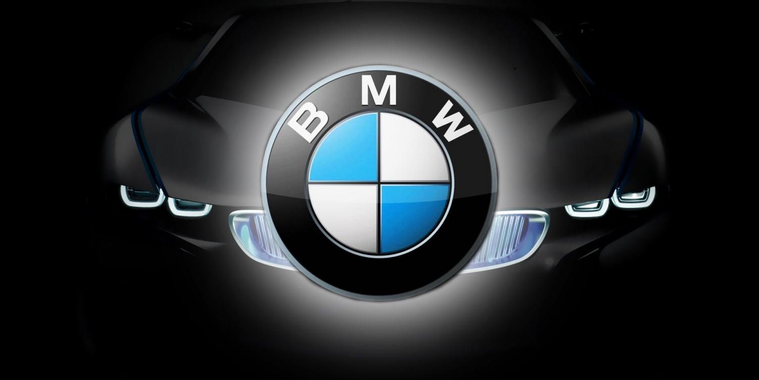 BMW PSdZData 4.33.11 Full