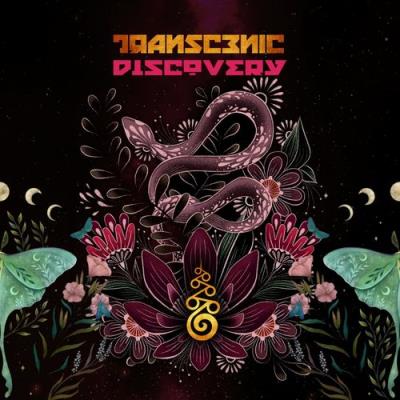 VA - Transcenic - Discovery (2021) (MP3)