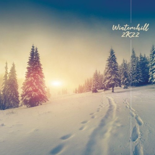 VA - Nidra Music - Winterchill 2k22 (2021) (MP3)