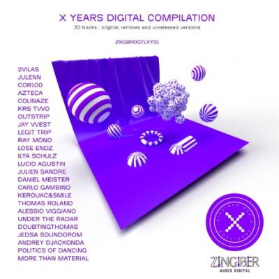 VA - Zingiber Audio XY Compilation (2021) (MP3)