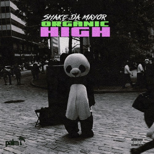 VA - Shake Da Mayor - Organic High (2021) (MP3)
