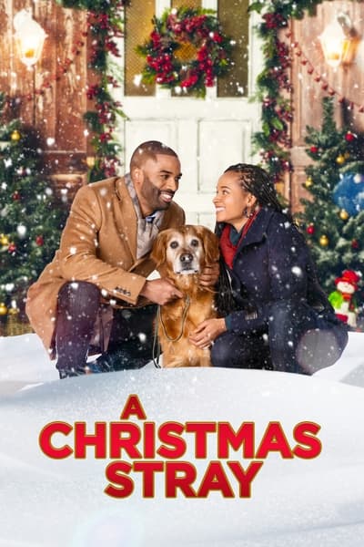 A Christmas Stray (2021) 720p WEB-DL H264 BONE