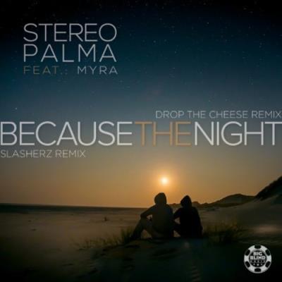 VA - Stereo Palma feat Myra - Because the Night (Remixes) (2021) (MP3)