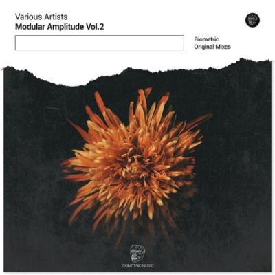 VA - Modular Amplitude Vol. 2 (2021) (MP3)