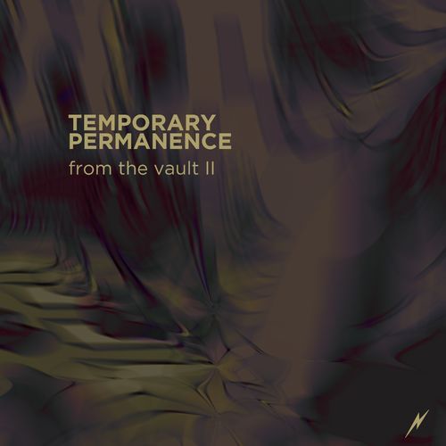 VA - Temporary Permanence - From The Vault II (2021) (MP3)