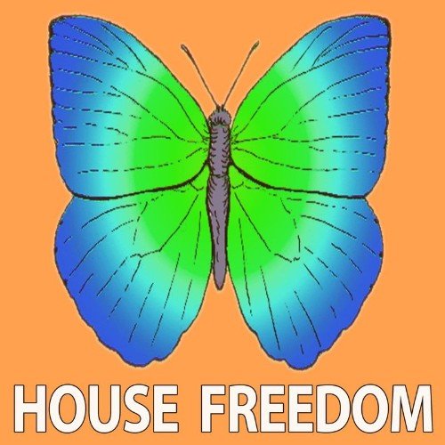 VA - House Freedom - Activ Sound (2021) (MP3)