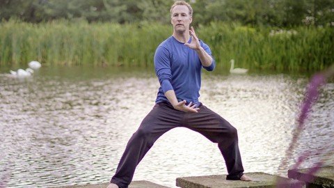 Qi Gong for Depression & Emotional Balance with Lee Holden
