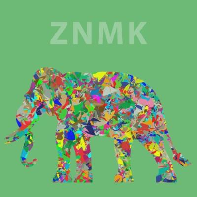 VA - ZNMK - Starting Point (2021) (MP3)