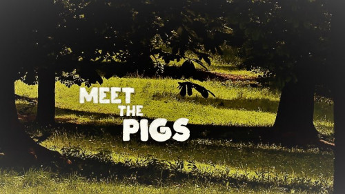 Doclights - Meet the Pigs (2021)