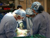 Украинские клиники с азбука года выполнили близ 300 трансплантаций органов старшим пациентам – ЦТК