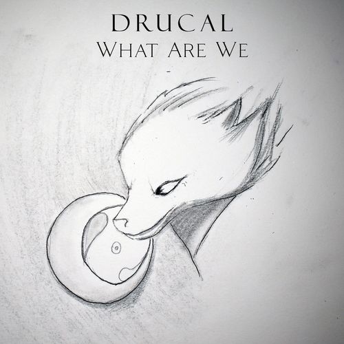 VA - Drucal - What Are We (2021) (MP3)