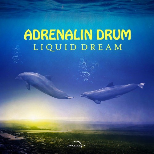 Adrenalin Drum - Liquid Dream (2021)