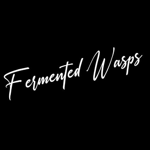 VA - Black Opal - Fermented Wasps (2021) (MP3)