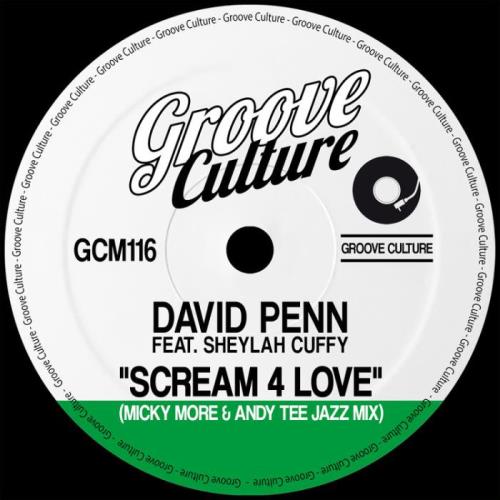 VA - David Penn - Scream 4 Love (Micky More and Andy Tee Jazz Mixes) (2021) (MP3)