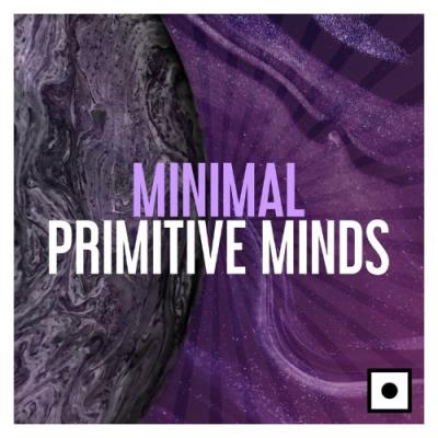VA - Minimal Primitive Minds (2021) (MP3)