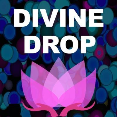 VA - Divine Drop - Section (2021) (MP3)