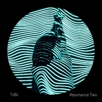 VA - TzBz - Resonance Two (2021) (MP3)