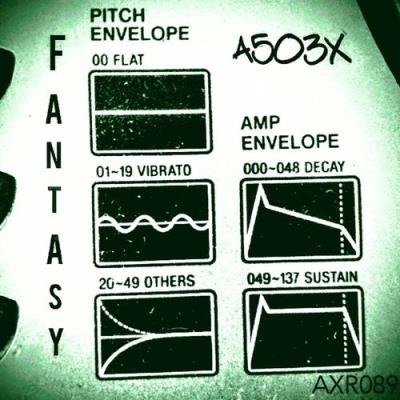 VA - A503X - FANTASY (2021) (MP3)
