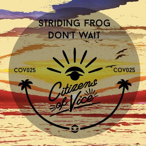 VA - Striding Frog - Don't Wait (2021) (MP3)