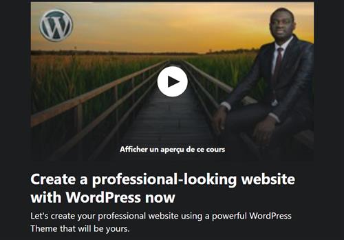 Create a Professional Looking Website with WordPress Now