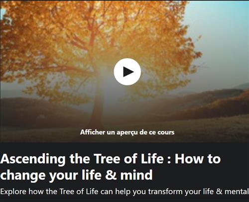 Ascending The Tree of Life - How to Change Your Life & Mind