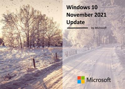 Windows 10 21H2 Build 19044.1415 Consumer & Business Edition