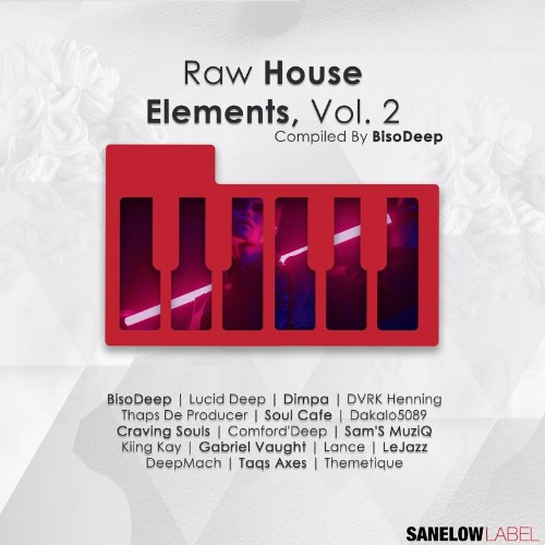 Raw House Elements, Vol. 2 (2021)