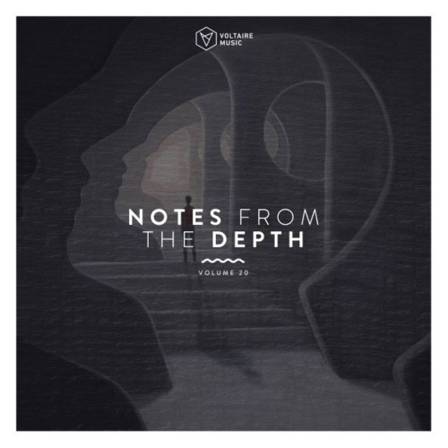 Notes from the Depth, Vol. 20 (2021)