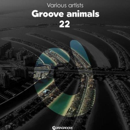 Groove Animals 22 (2021)