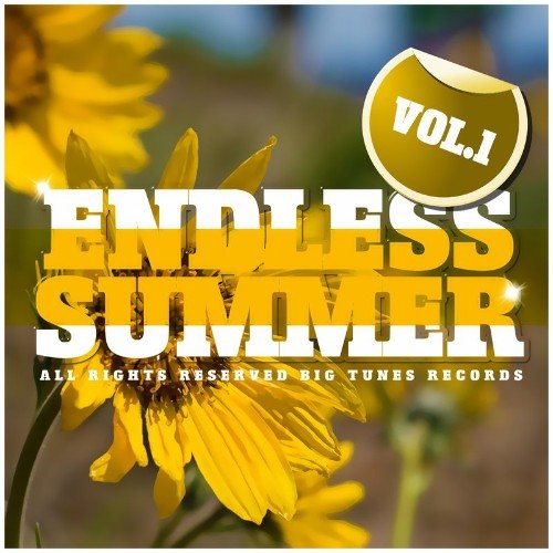 Endless Summer, Vol. 1 (2021)