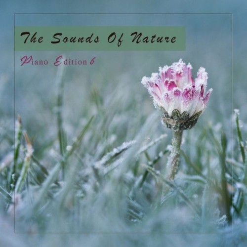 The Sounds of Nature, Piano Edition 6 (2021)