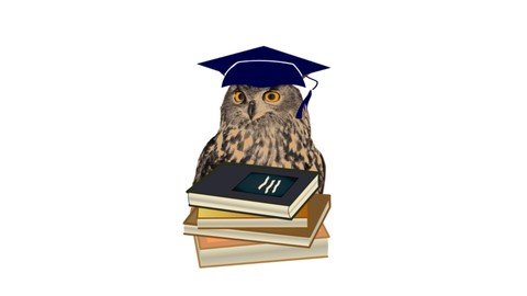 Udemy - Math Graduate Programs Applying, Advice, Motivation