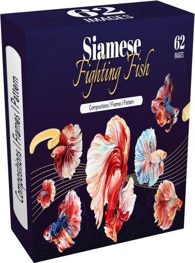  Creative Market - Siamese Fighting Fish Watercolor (PNG, PSD, JPG)