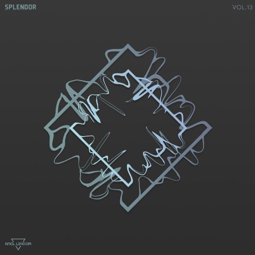VA - Splendor, Vol. 13 (2021) (MP3)