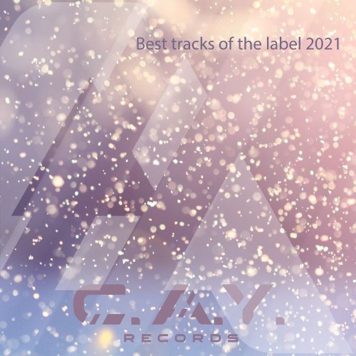 VA - Best Tracks of the Label 2021 (2021) (MP3)