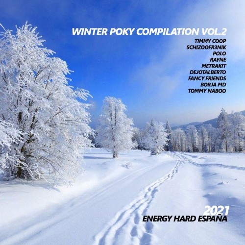 VA - Winter Poky Compilation Vol.2 (2021) (MP3)