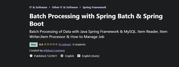 Udemy – Batch Processing with Spring Batch & Spring Boot