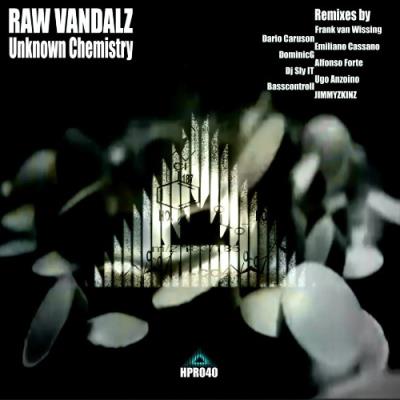 VA - Raw Vandalz - Unknown Chemistry (2021) (MP3)